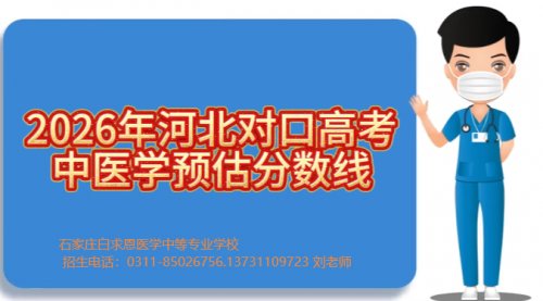 "合作示例"}] (function