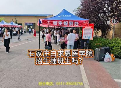 "联系示例"}